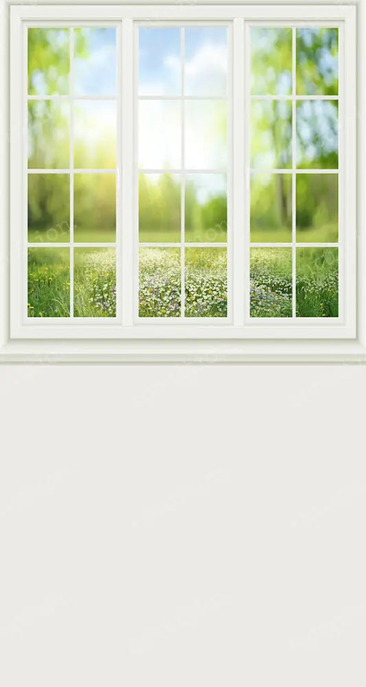 White Spring Window Spring Window - Intuition Backgrounds