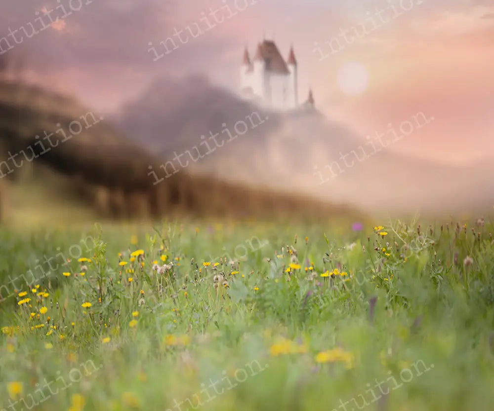 Stirling Castle Backdrop