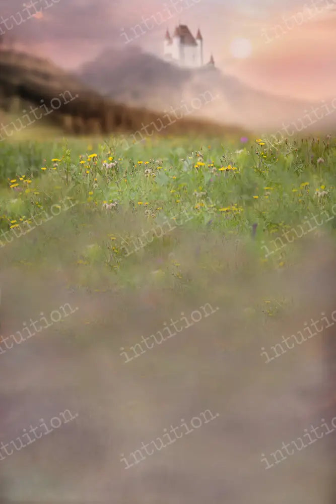 Stirling Castle Backdrop