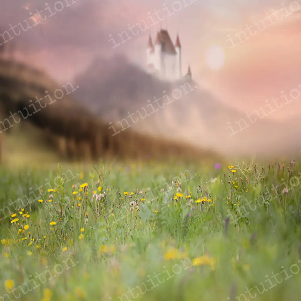 Stirling Castle Horizontal / Poly 60X44 Backdrop