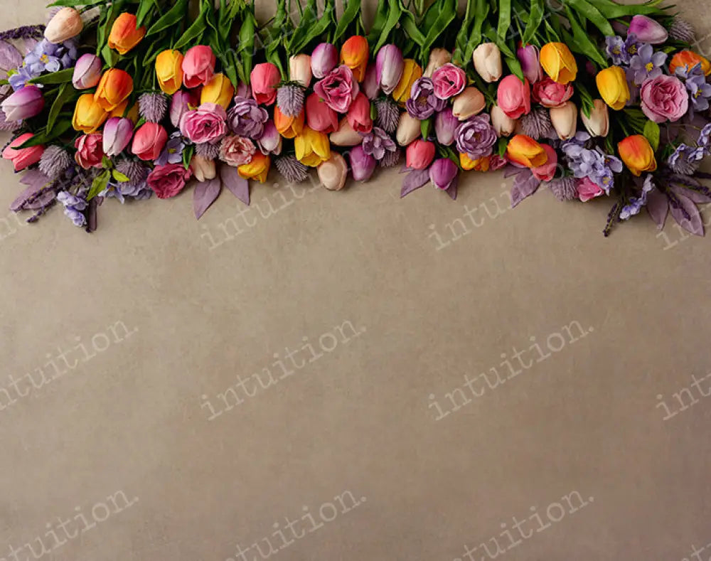 Summer Tulips Backdrop