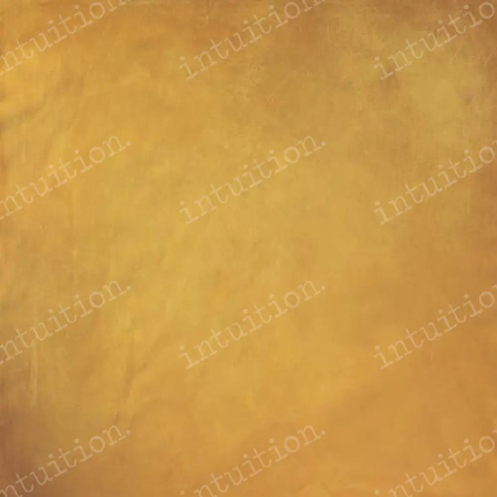 Sunray Poly / 60X44 Backdrop