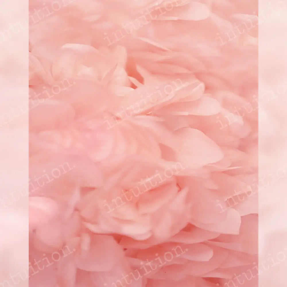 Sutton Vertical / Ulta Pro 5X6 Backdrop