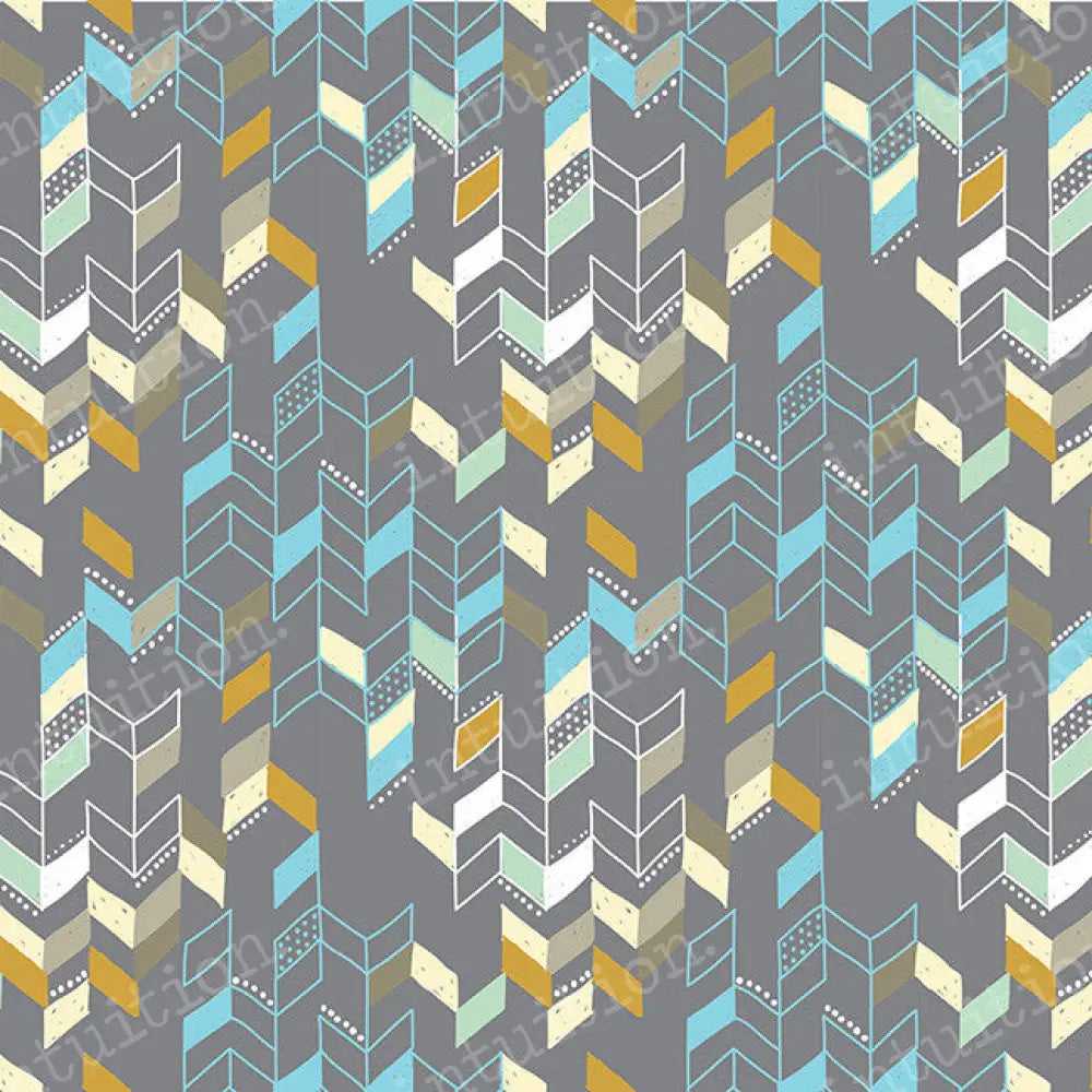 This Way Poly / 60X44 Backdrop