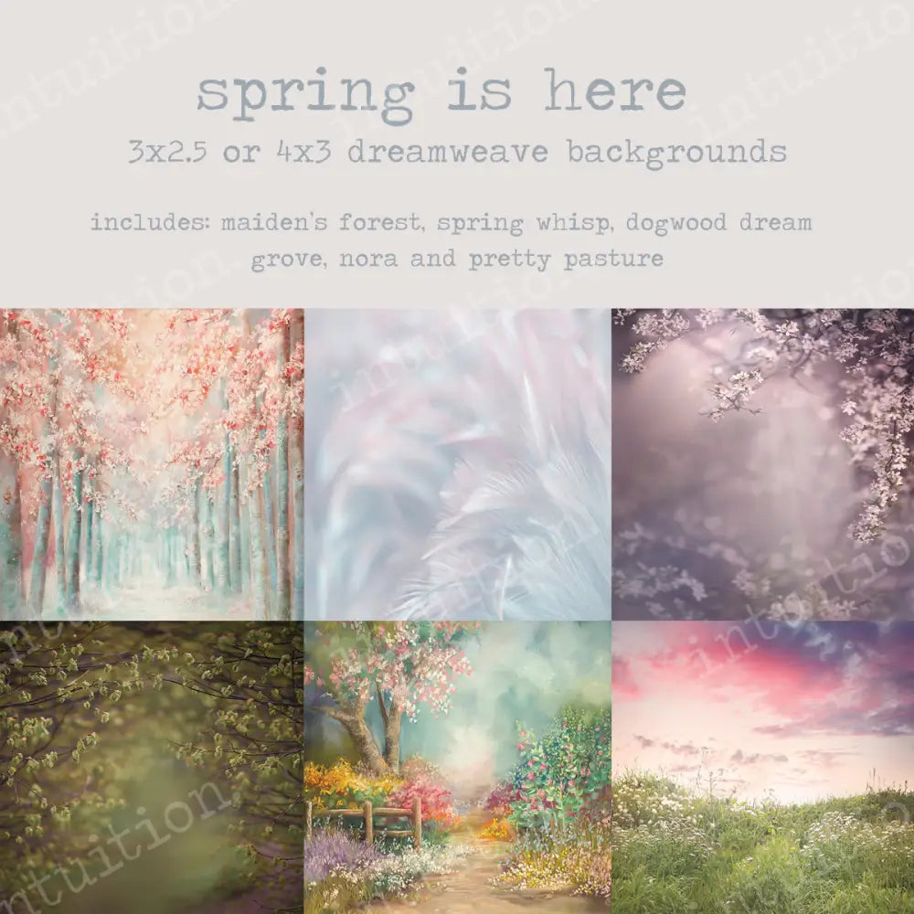 To-Go Pack - Spring Is Here 3X2.5 Backdrop