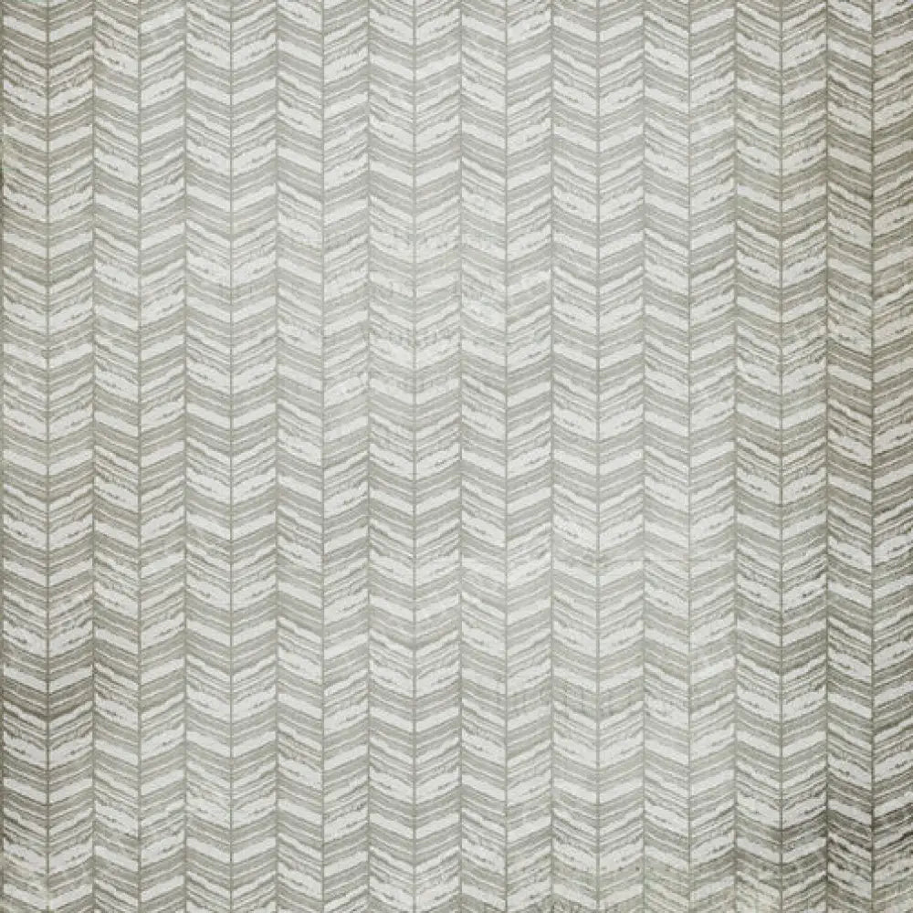 Tony Poly / 60X44 Backdrop