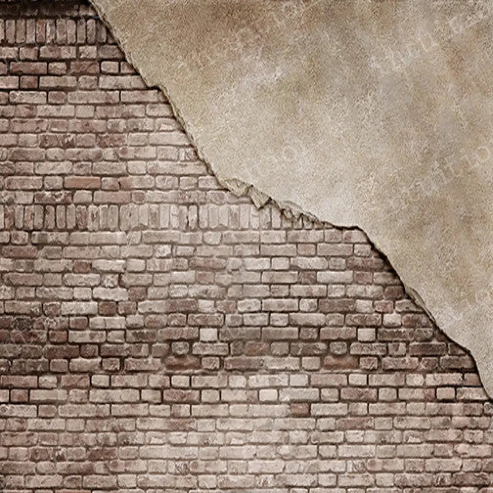 Tuscany Poly / 60X44 Backdrop