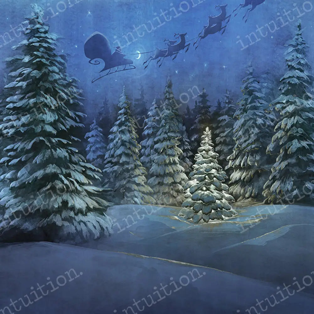 Twas The Night Poly / 60X44 Backdrop