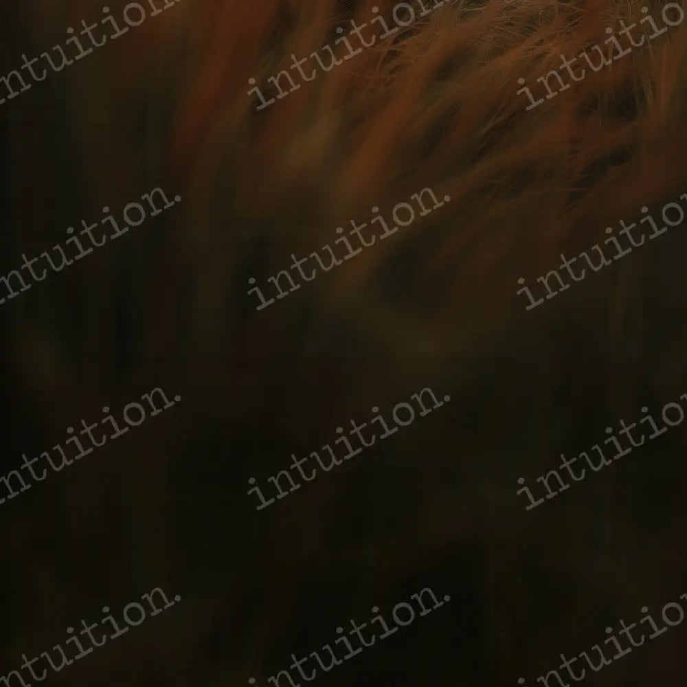 Uhtred Mat Floor 8x8 Floor