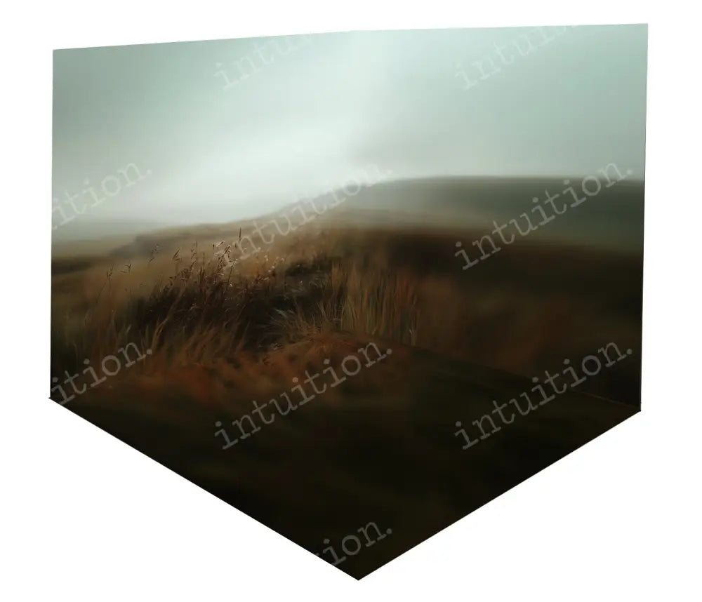 Ultred Room Canvas / 3- 8X8