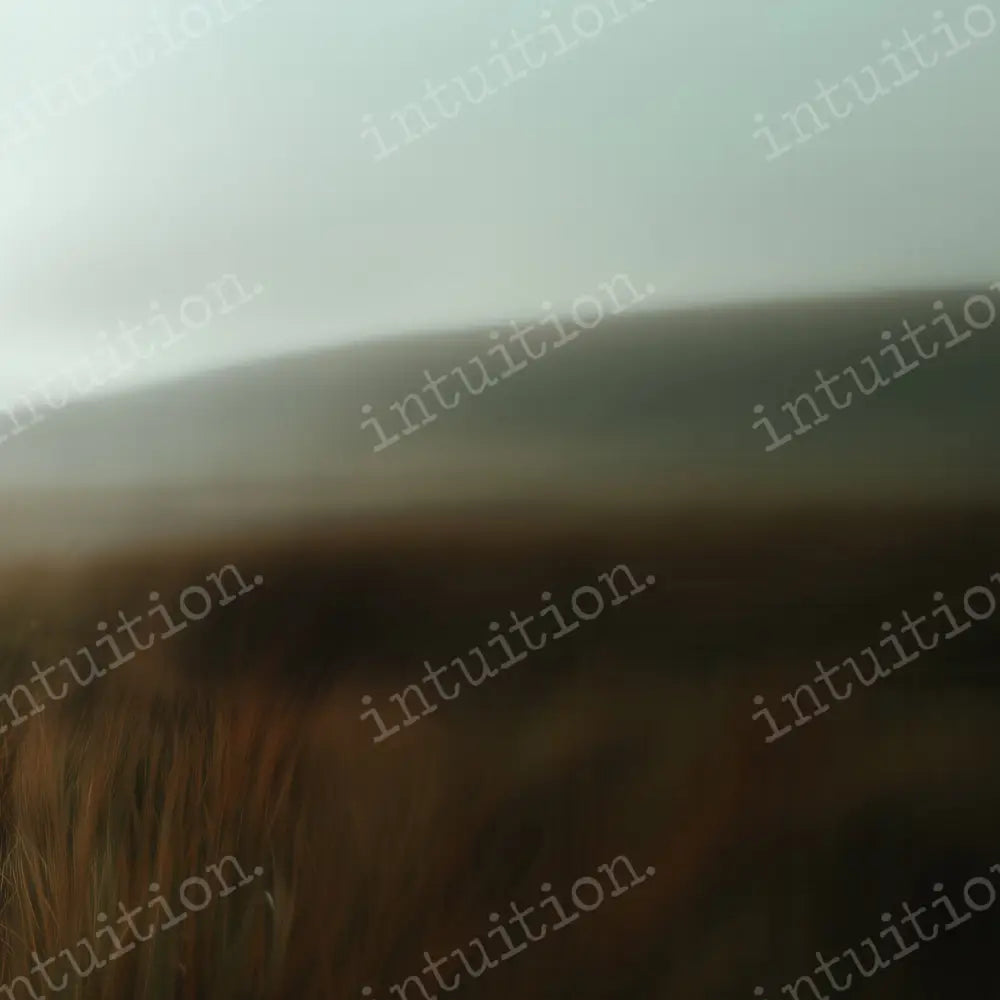 Uhtred Side Wall Backdrop