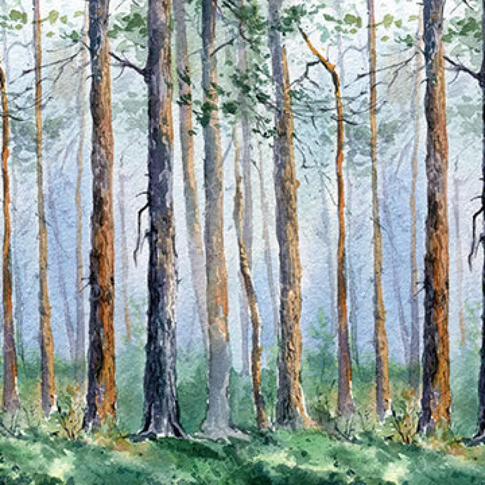 Up North Poly / 60X44 Backdrop