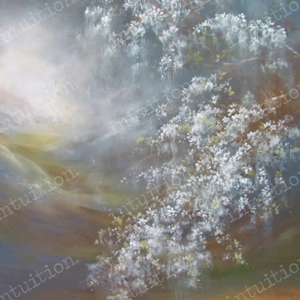 Uplifted Poly / 60X44 Backdrop