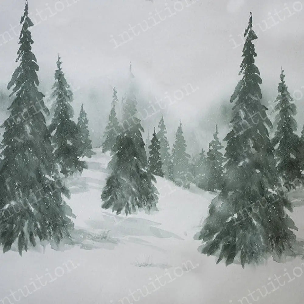 Vale Poly / 60X44 Backdrop