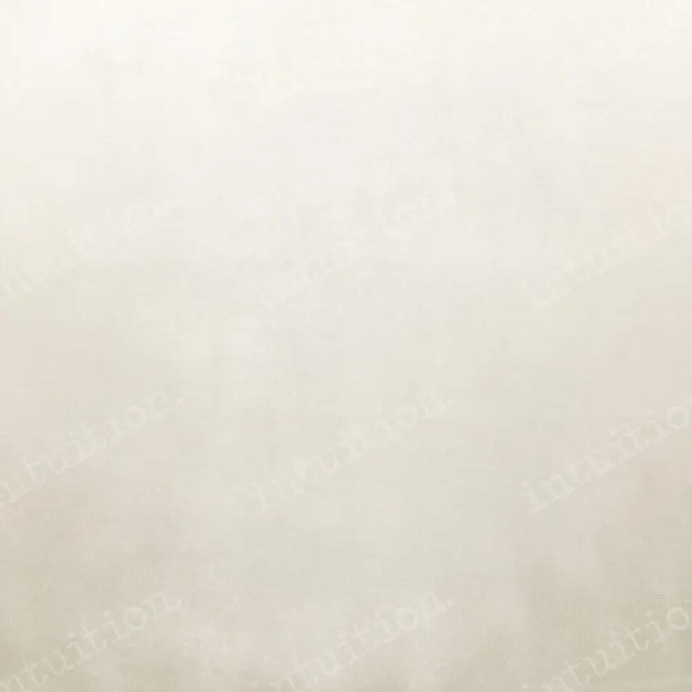 Vanilla Bean Poly / 60X44 Backdrop