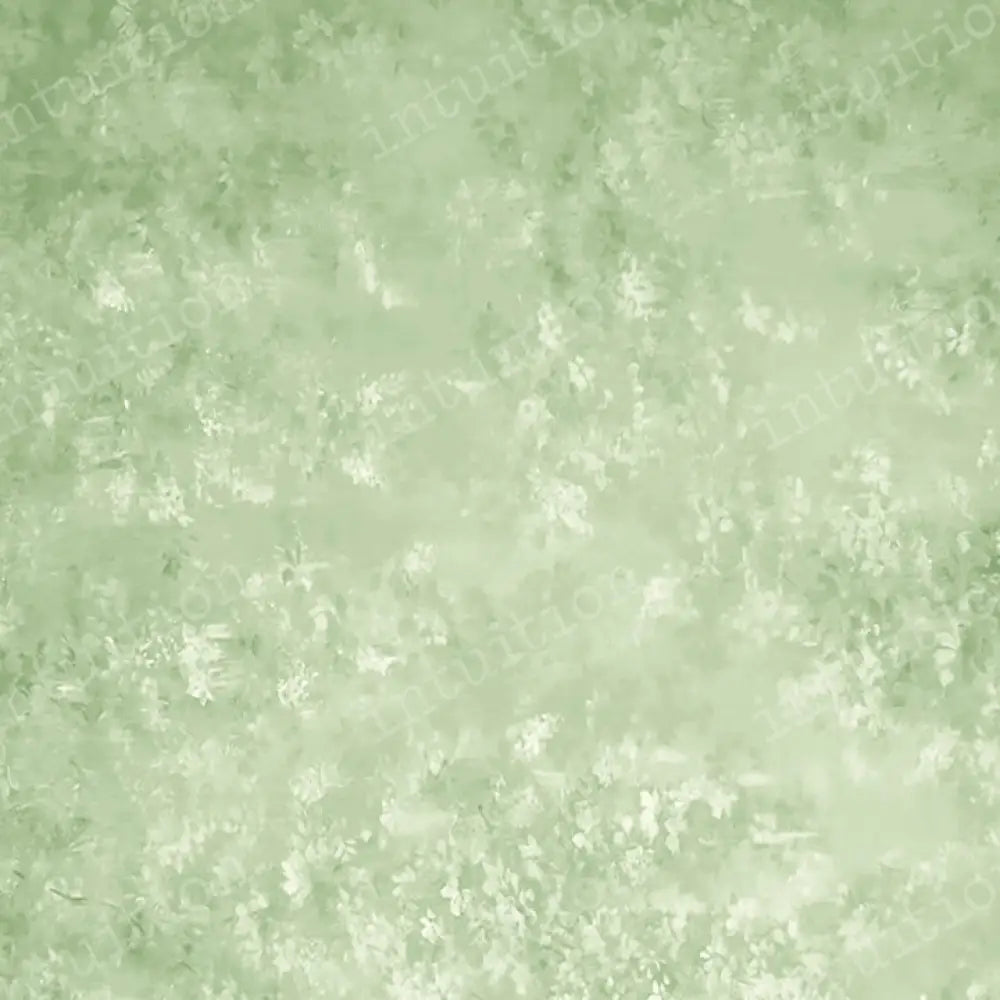 Vera Horizontal / Poly 60X44 Backdrop