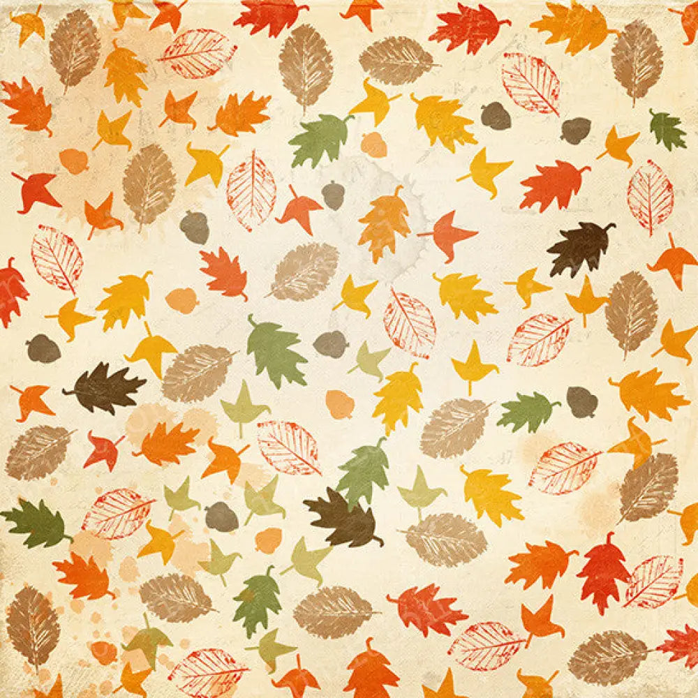 Vermont Poly / 60X44 Backdrop