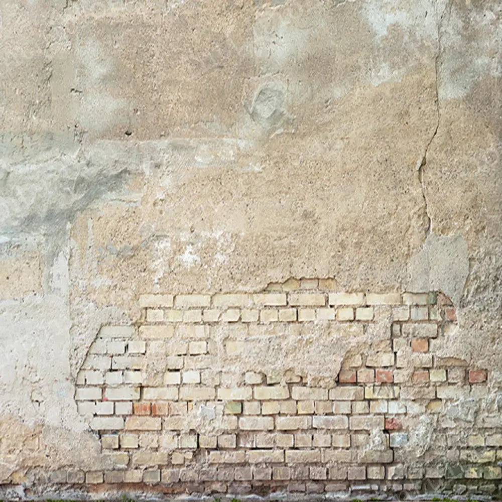 Welburn Horizontal / Poly 60X44 Backdrop