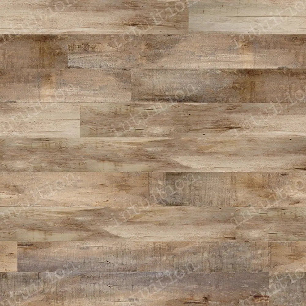 Weston Poly / 60X44 Backdrop