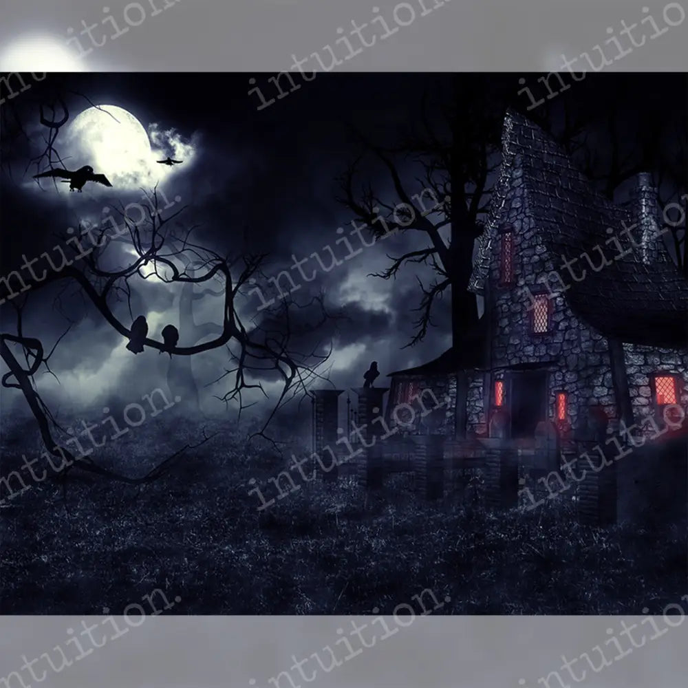 Who Goes There Horizontal / Poly 60X44 Backdrop