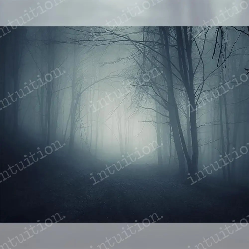 Whos There Backdrop