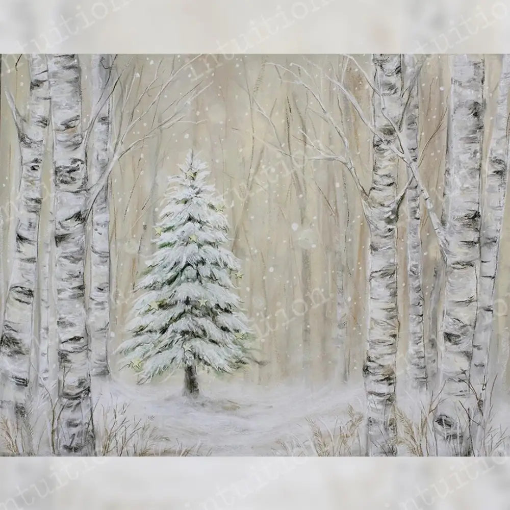 Winterhaven Horizontal / Poly 60X44 Backdrop