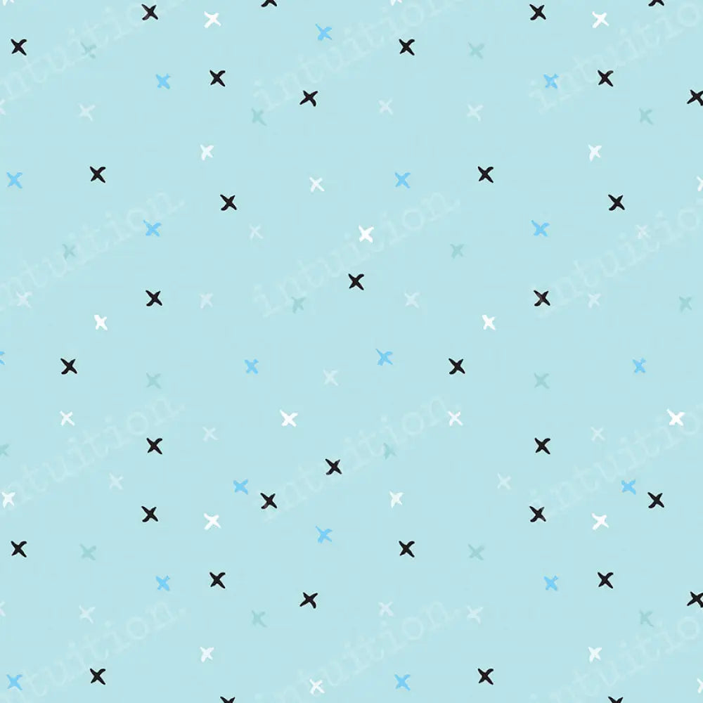 X Marks The Spot Horizontal / Poly 60X44 Backdrop