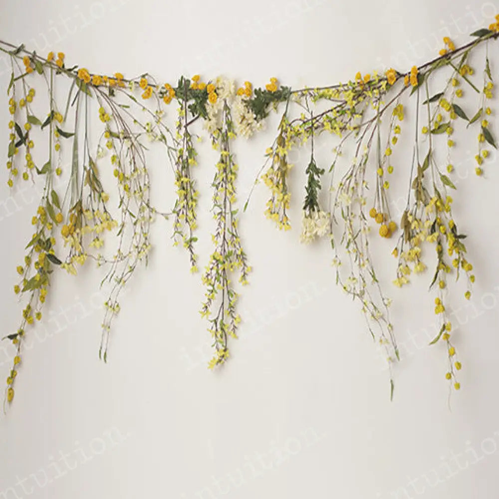 Yvonne Poly / 60X44 Backdrop